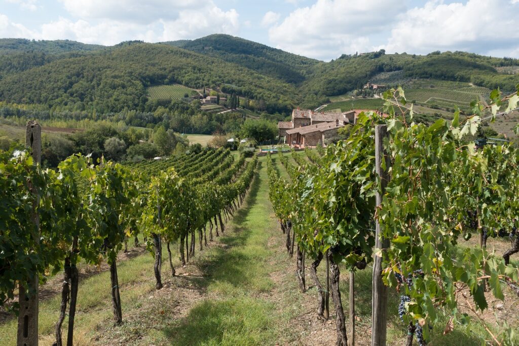 chianti